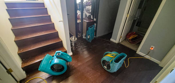 Best Flood damage cleanup  in Pittsboro, NC