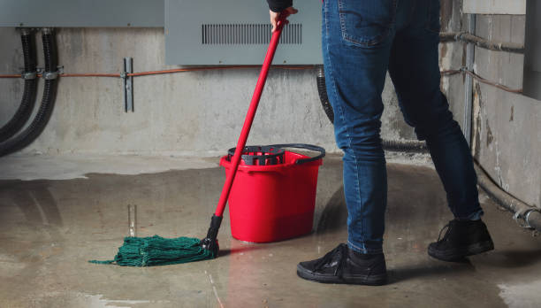 Best Sewage cleanup and water damage restoration  in Pittsboro, NC