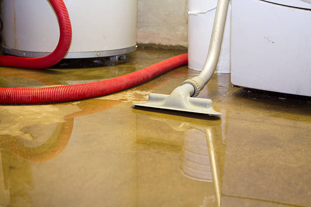 Best Carpet water damage restoration  in Pittsboro, NC