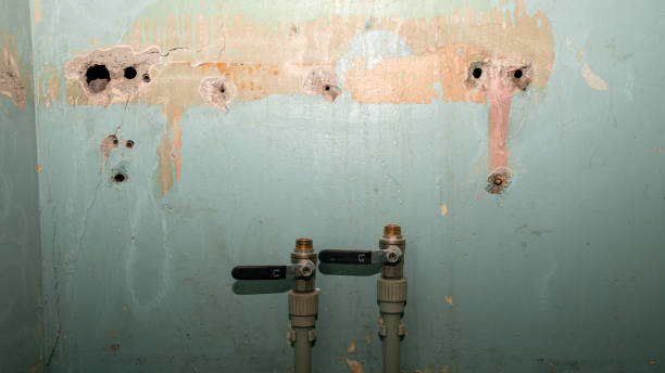 Best Water damage cleanup near me  in Pittsboro, NC