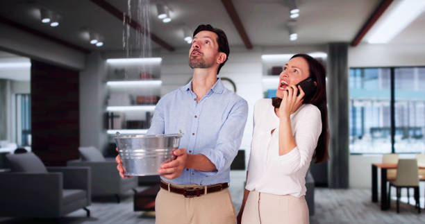 Best Water damage restoration near me  in Pittsboro, NC