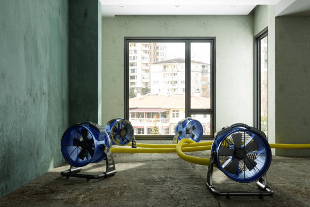 Best Professional water damage repair  in Pittsboro, NC