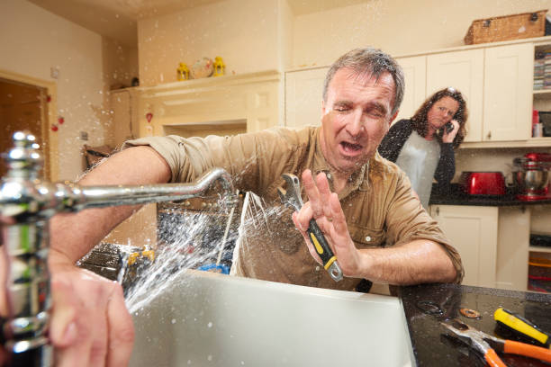 Best Carpet water damage restoration  in Pittsboro, NC